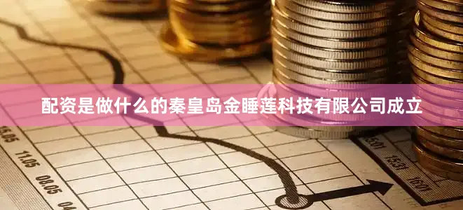 配资是做什么的秦皇岛金睡莲科技有限公司成立