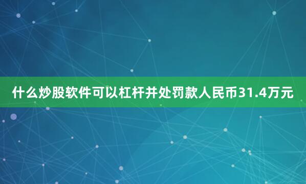 什么炒股软件可以杠杆并处罚款人民币31.4万元