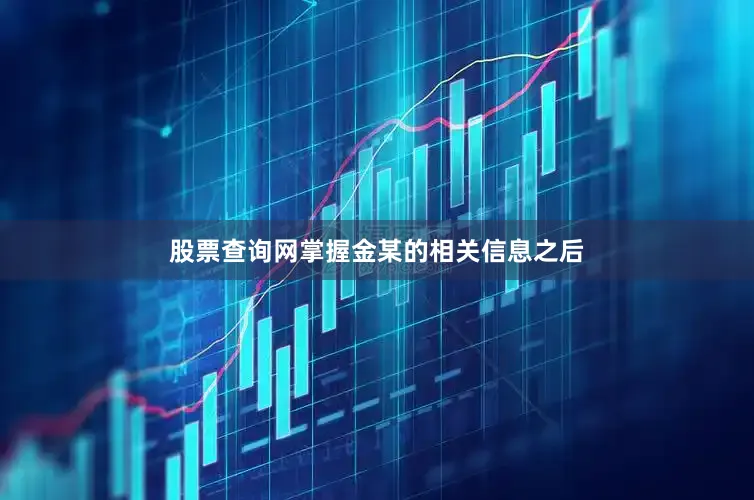 股票查询网掌握金某的相关信息之后