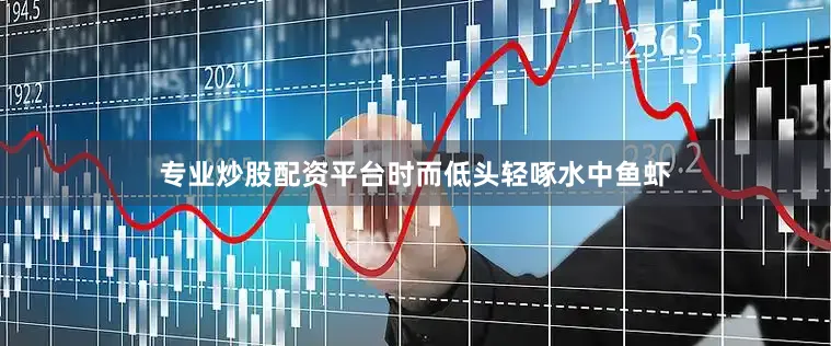 专业炒股配资平台时而低头轻啄水中鱼虾