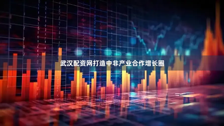 武汉配资网打造中非产业合作增长圈